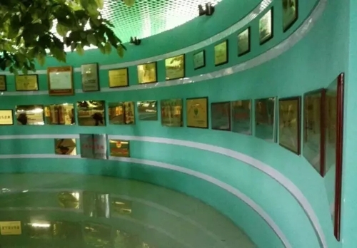 中力好会员:我们是冠军之核桃全产业链冠军---